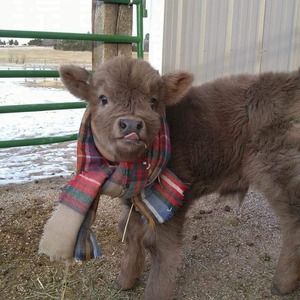 Meet your Posher, Barbara